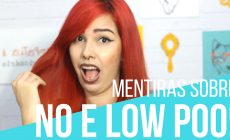 mentiras sobre no e low poo